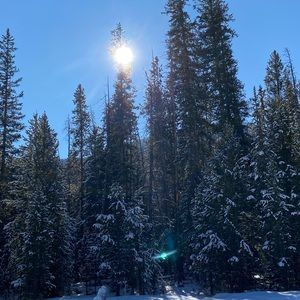 Meet your Posher, Mindy